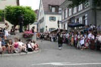 IMG_6623 (2)